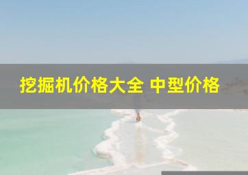 挖掘机价格大全 中型价格